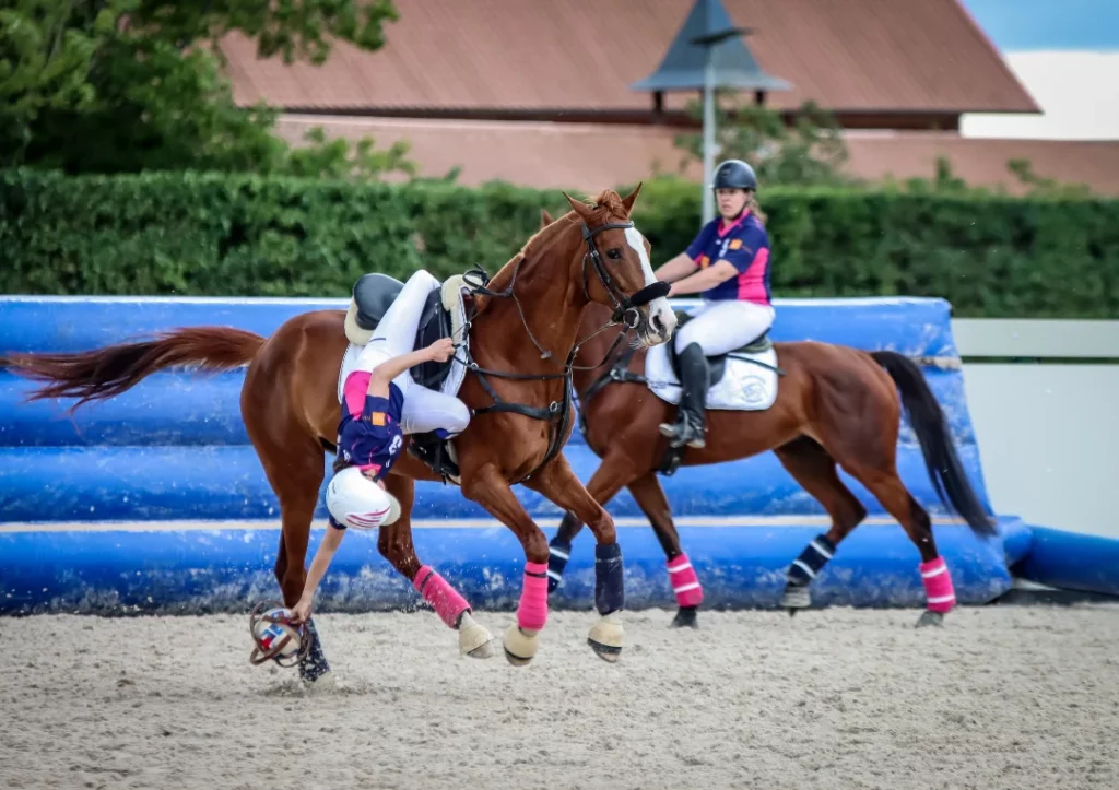 Saumur Horse Ball Europe