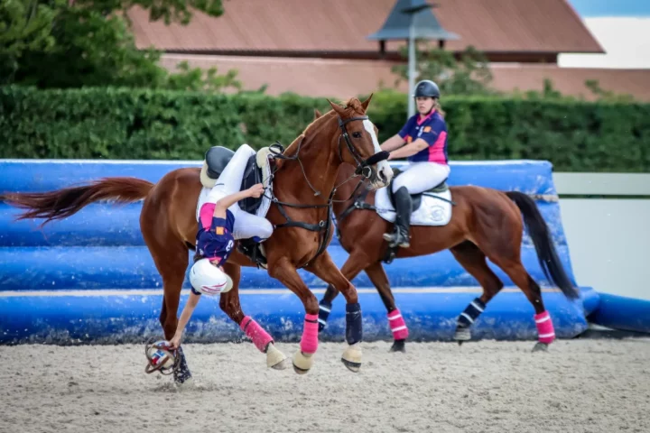 Saumur Horse Ball Europe
