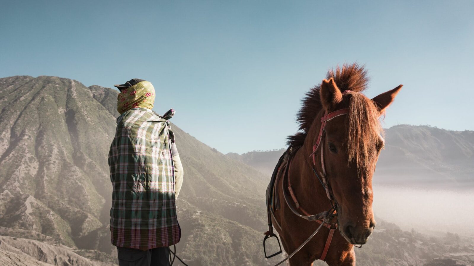 Aborder et attacher son cheval en sécurité