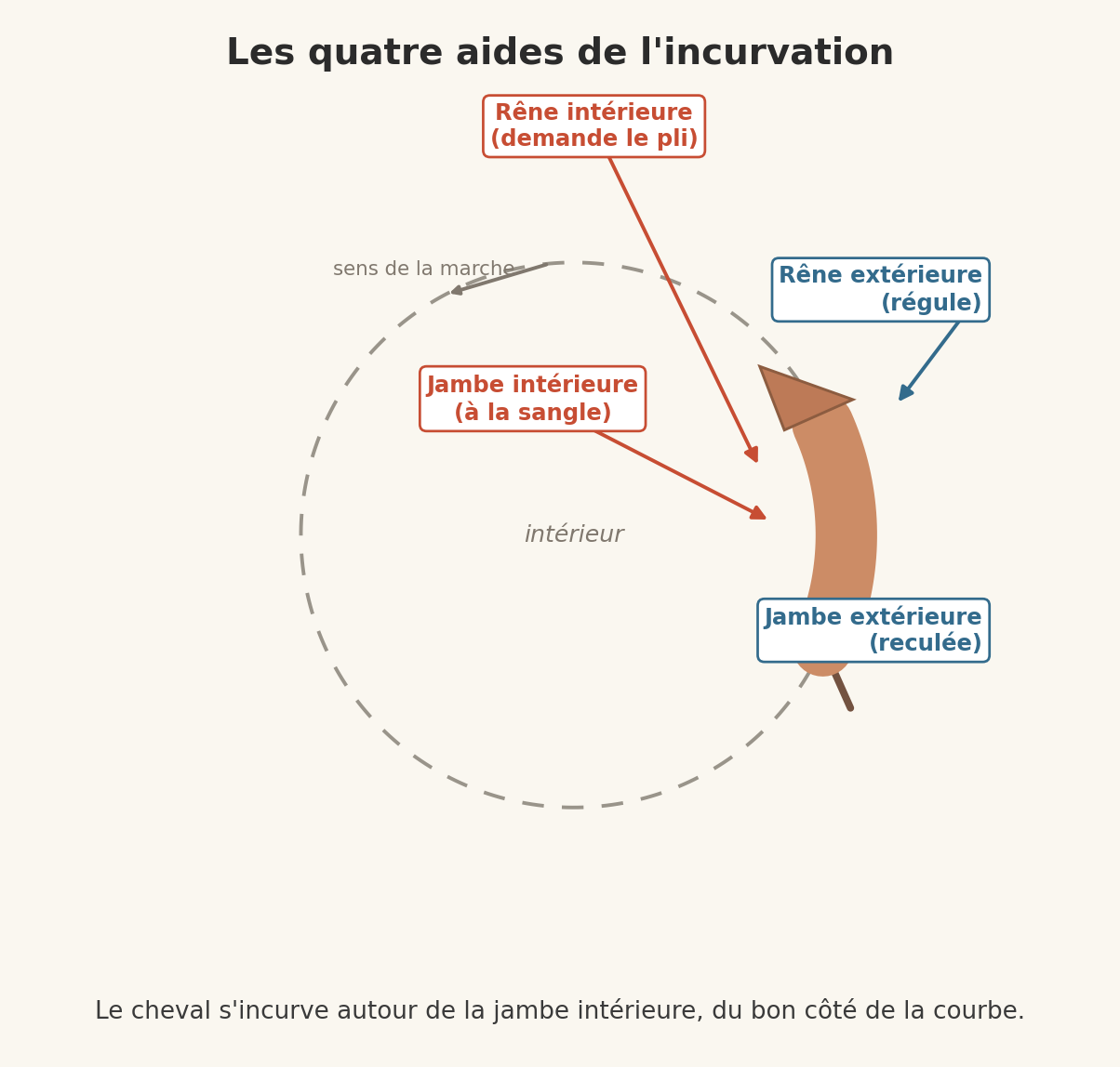 Schéma vu de dessus des quatre aides de l'incurvation sur un cercle