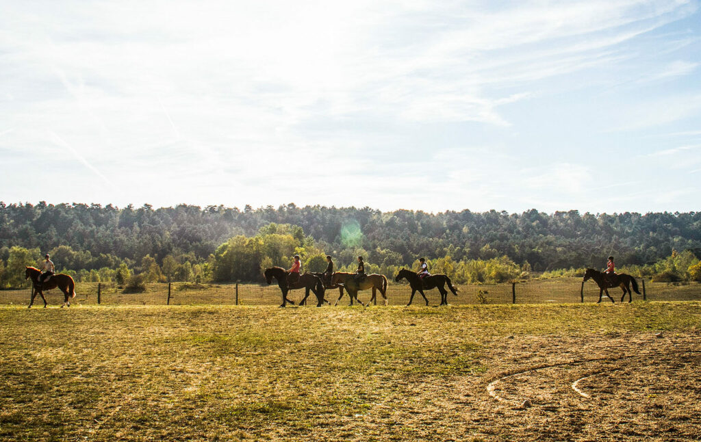 Centre Équestre Arbonne Équitation
