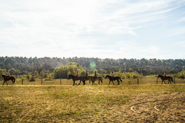 Centre Équestre Arbonne Équitation