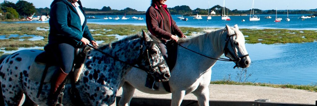 Balade à cheval Golfe du Morbihan