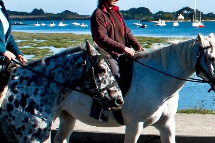 Balade à cheval Golfe du Morbihan