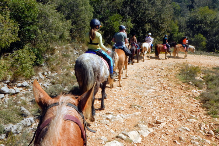 Les Chevaux du Cantaure
