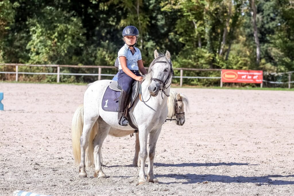 Le Cavaletti Nivernais