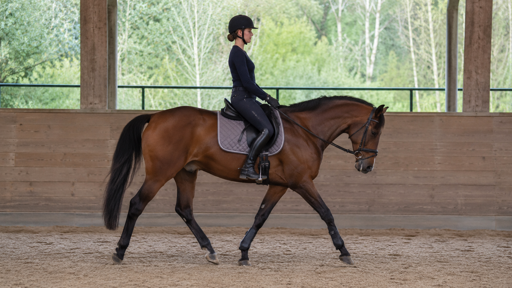 Cavalier en position équilibrée sur un cheval au pas dans un manège
