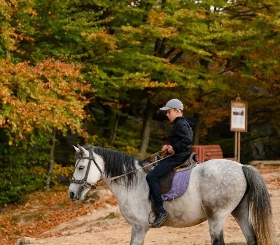 Centre Equestre de la Résilience