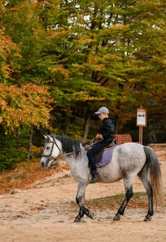 Centre Equestre de la Résilience