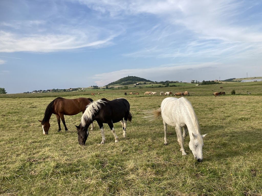 Centre Equestre de Montmeyre