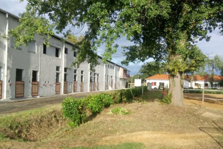 Centre Équestre du Basacle (CEB Lons)