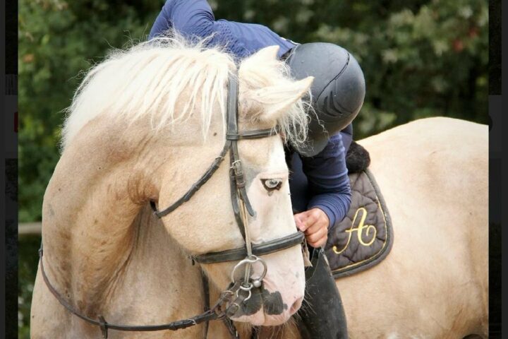 Cercle Hippique d&rsquo;Antonne