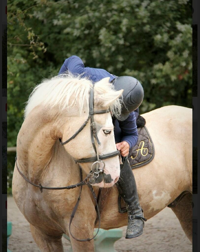 Cercle Hippique d&rsquo;Antonne