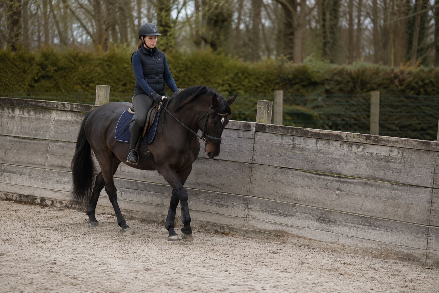 Cavalière et cheval foncé en travail latéral dans une carrière extérieure