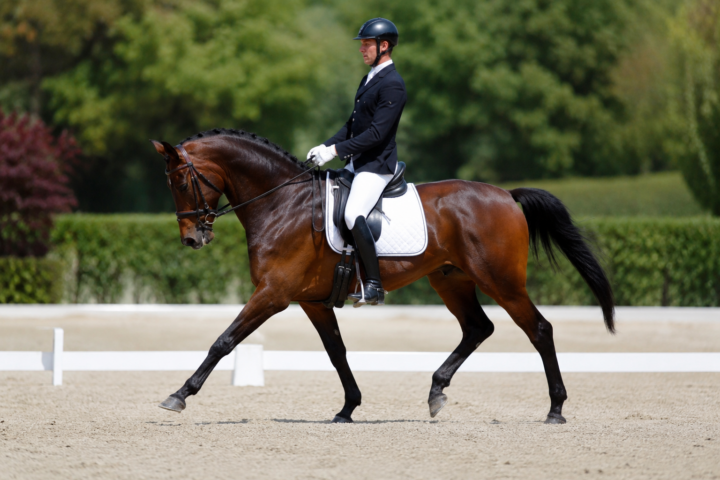 La mise sur la main et l&rsquo;impulsion