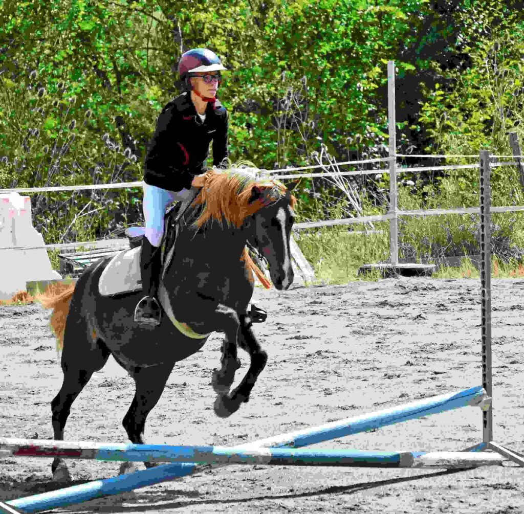 Les Chevaux du Rajal