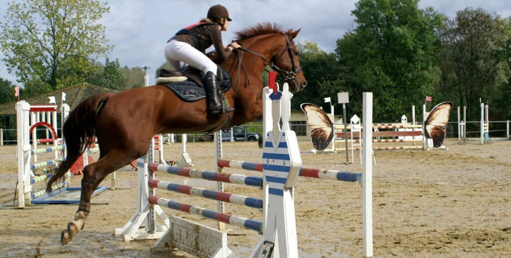 Club Hippique & Poney-Club de Bergerac
