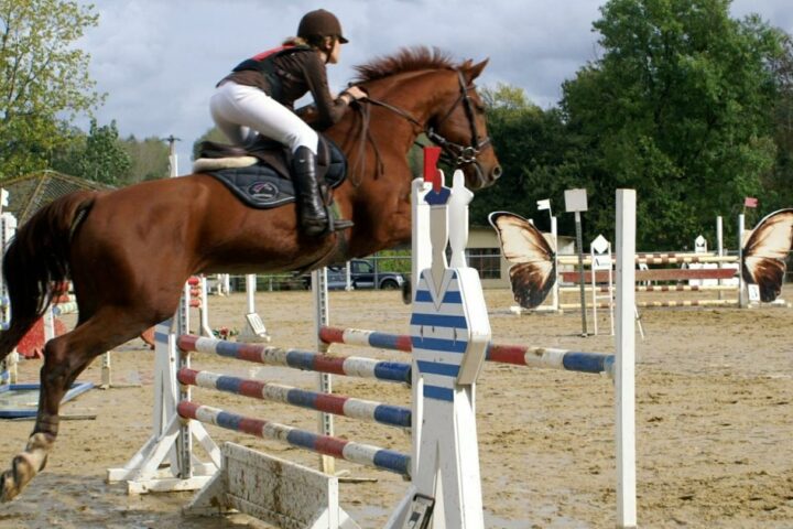Club Hippique & Poney-Club de Bergerac