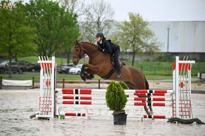 Club Hippique Niortais