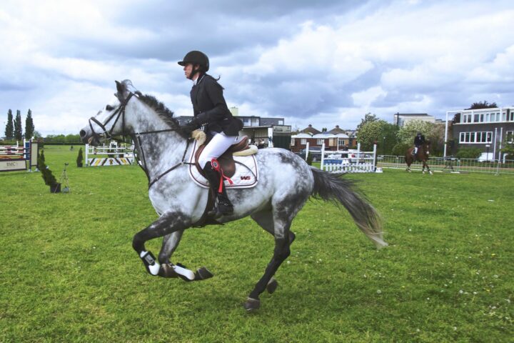 Le départ au galop et les transitions