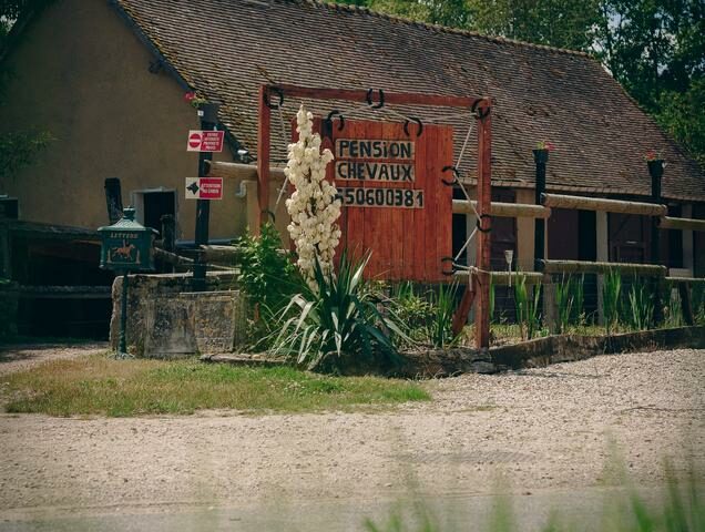 Domaine du Moulin de Pluvignon