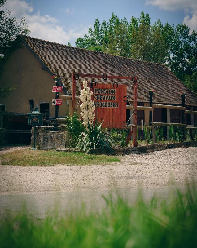 Domaine du Moulin de Pluvignon