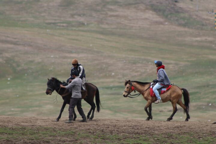 École Départementale d&rsquo;Équitation – Poney Club