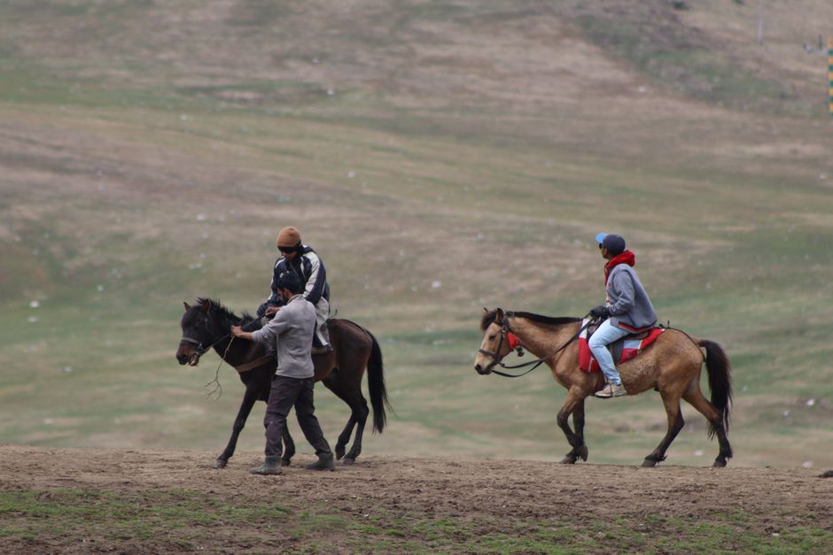 École Départementale d&rsquo;Équitation – Poney Club