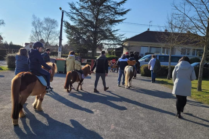 Écurie des minis poons