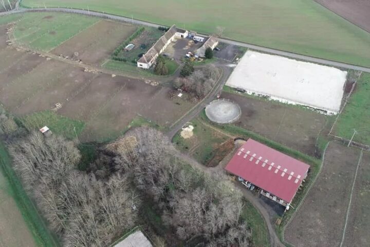 Haras P&rsquo;Ti Royal