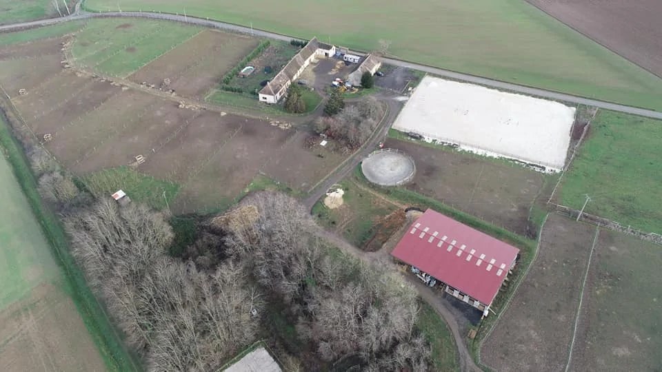 Haras P&rsquo;Ti Royal