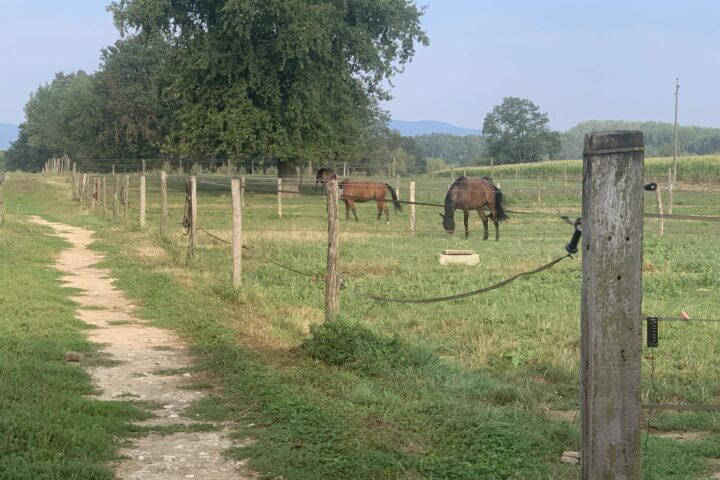 Écurie St Georges en Bresse