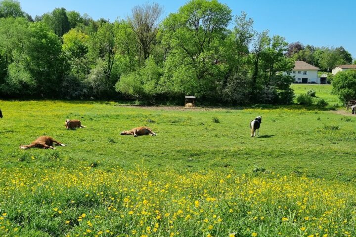 Les écuries de l&rsquo;Arche