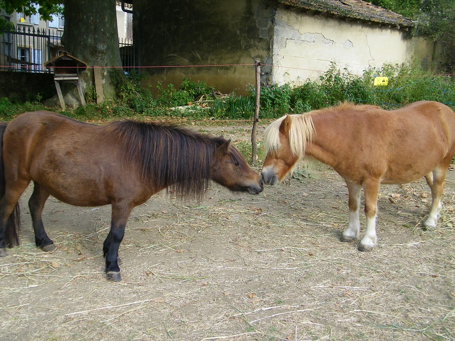 Les Écuries de la Magnanerie