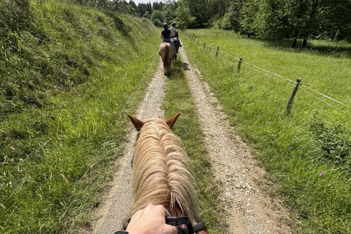 En Selle 09