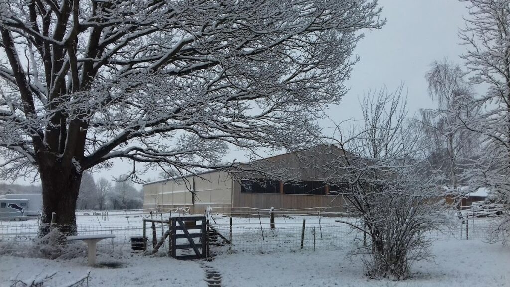Haras de l&rsquo;Épine Noire