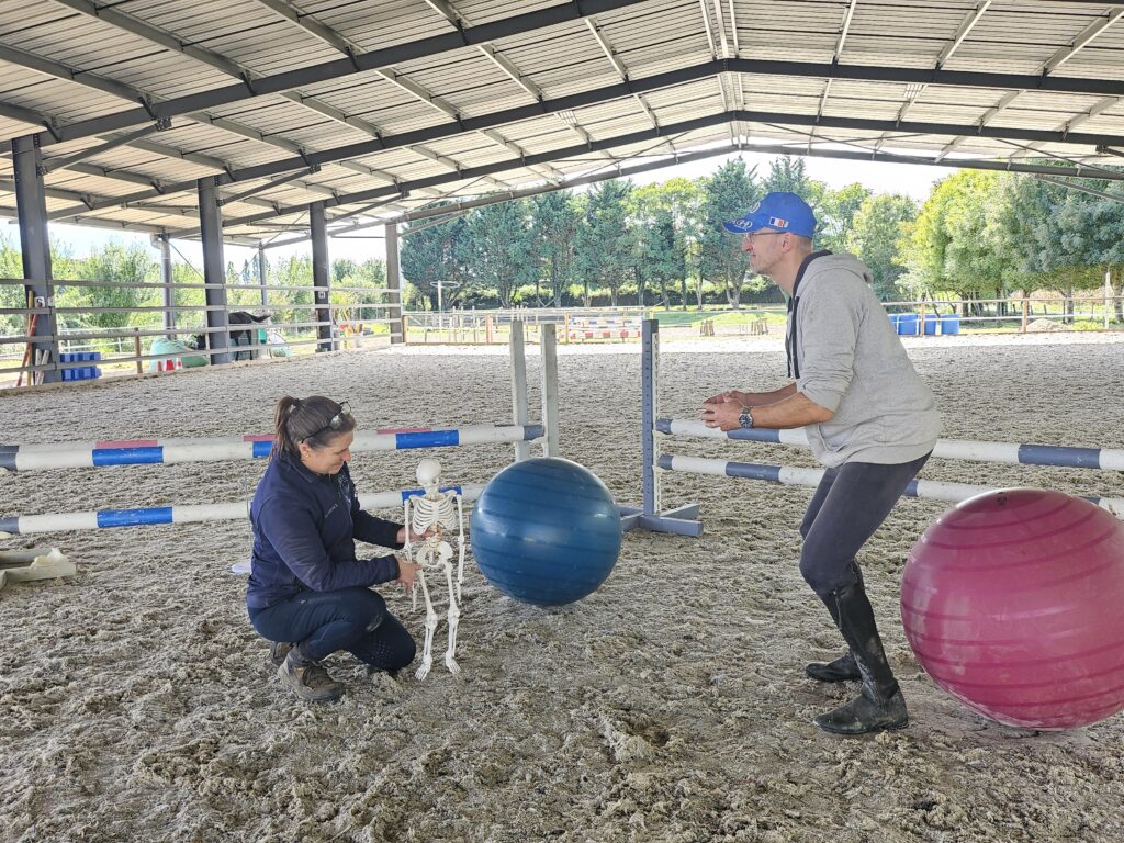 Equi Harmonie