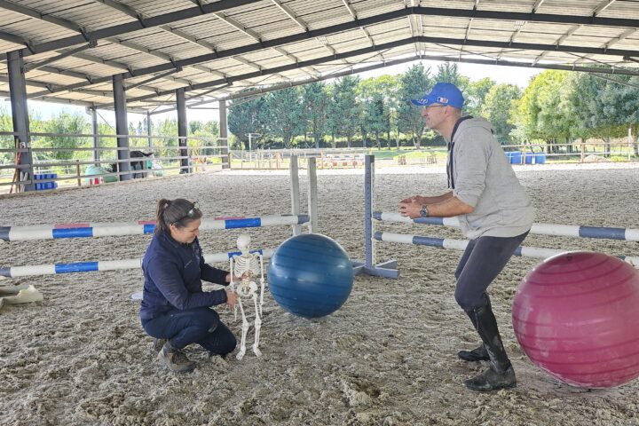 Equi Harmonie