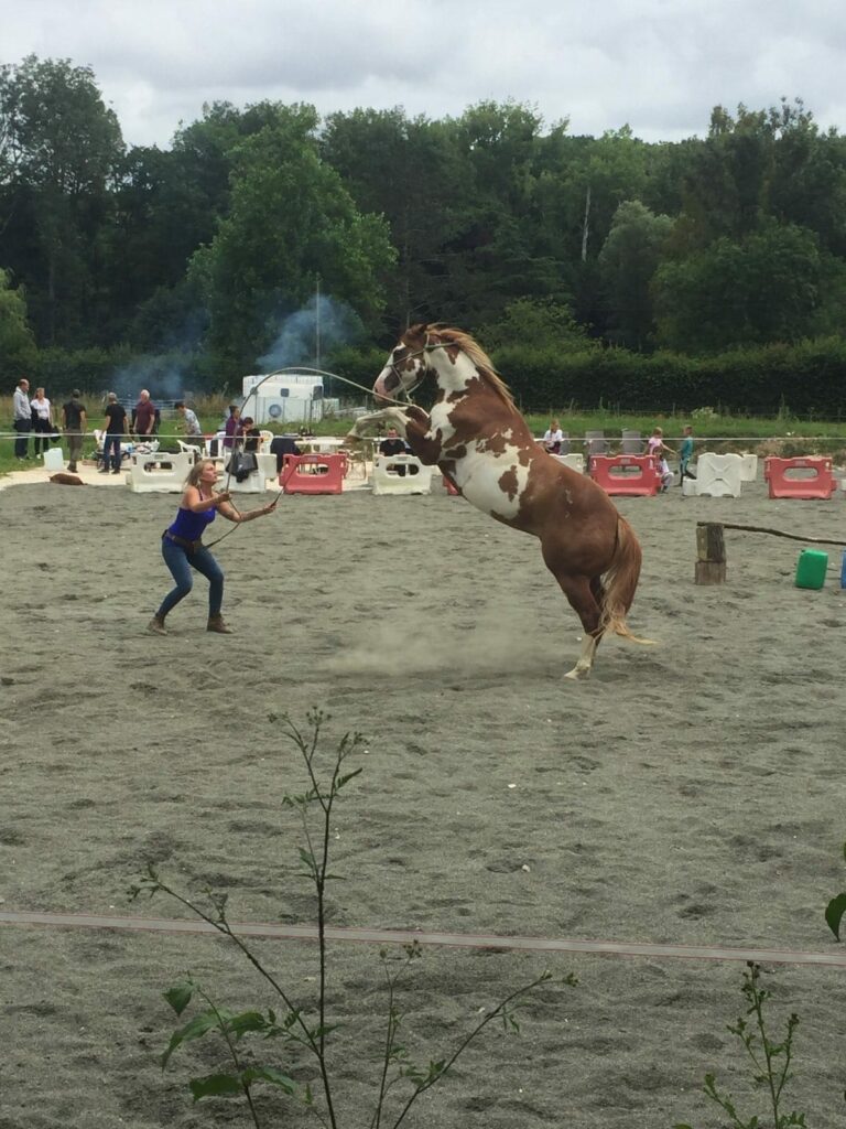 L&rsquo;Equi-Libre & Cau