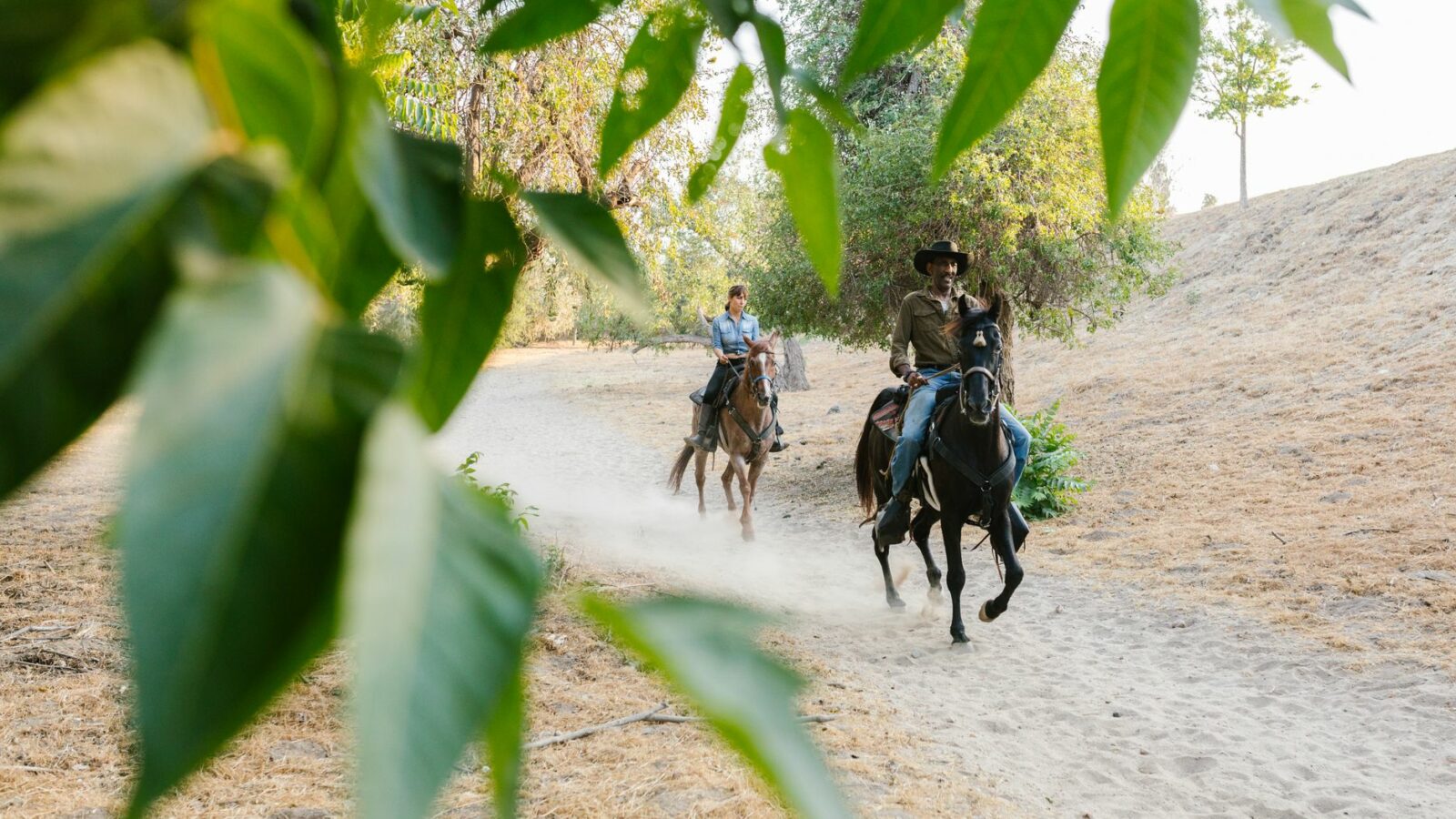 L’équitation en extérieur et en terrain varié