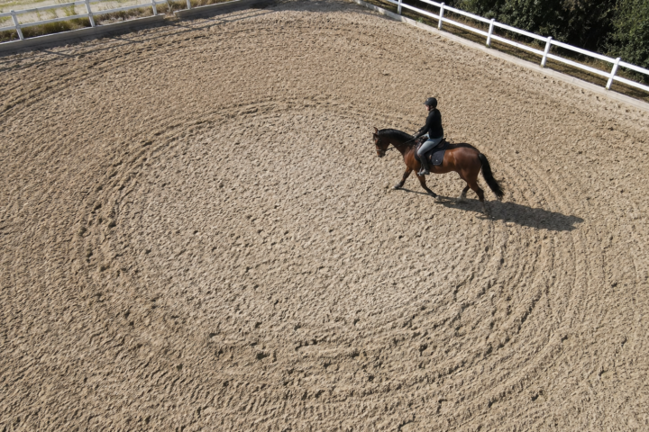 Les figures de manège : cercle, volte, diagonale et doubler