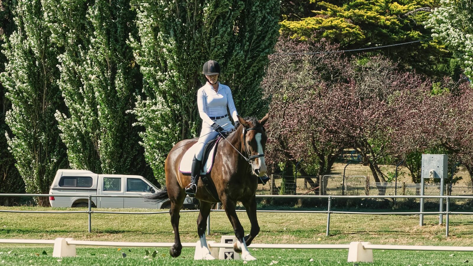 Les figures de manège : cercle, volte, diagonale et doubler