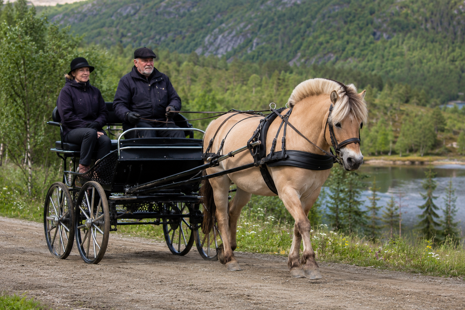 Fjord norvégien en attelage dans un paysage nordique
