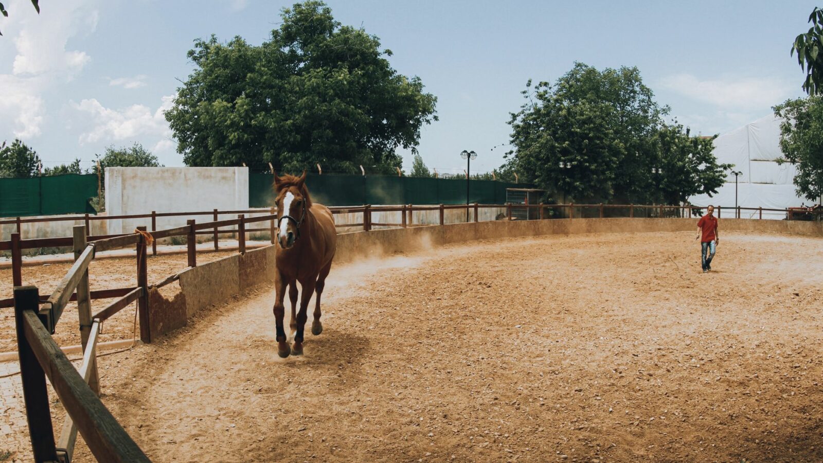 Le galop à faux