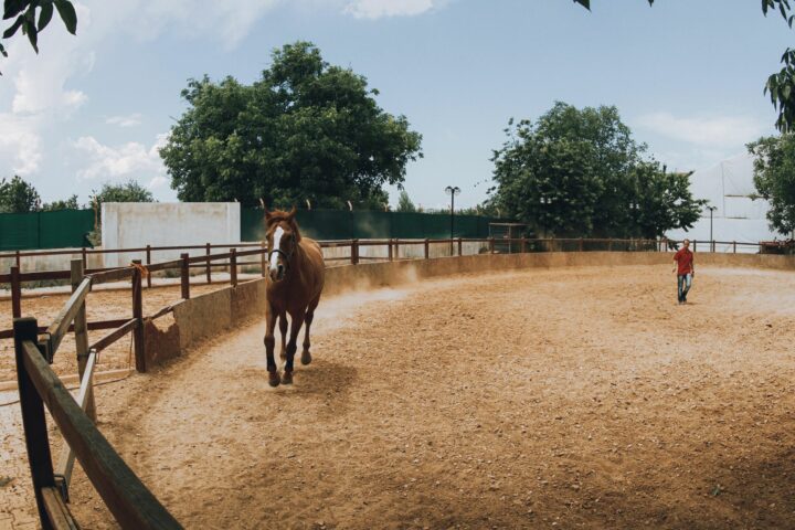 Le galop à faux
