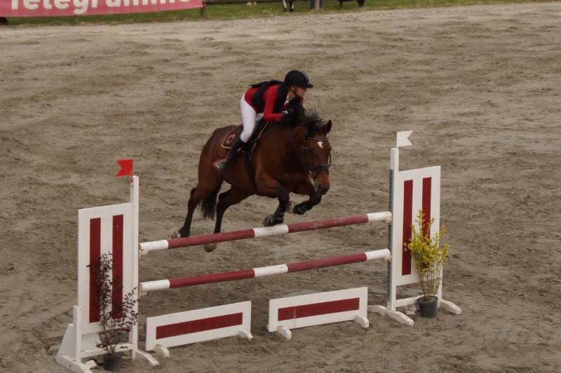 École d&rsquo;équitation de Guerlogoden