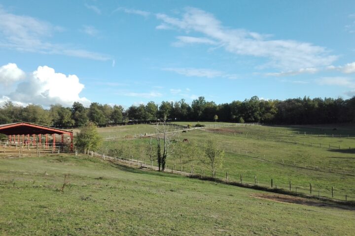 Ferme Équestre de Gueyte