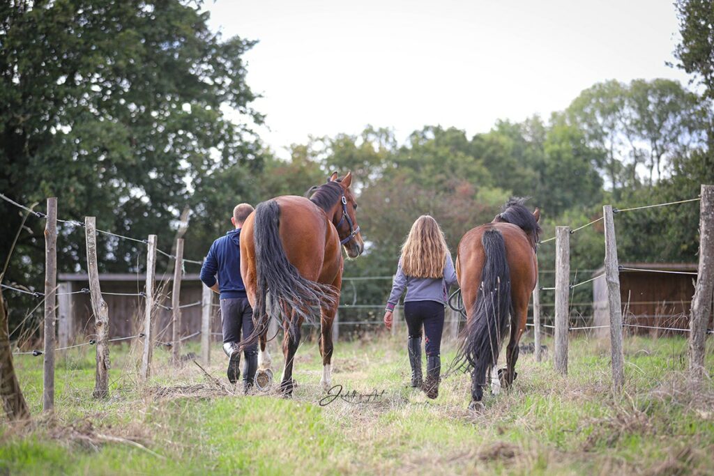 Haras d&rsquo;Ambreval