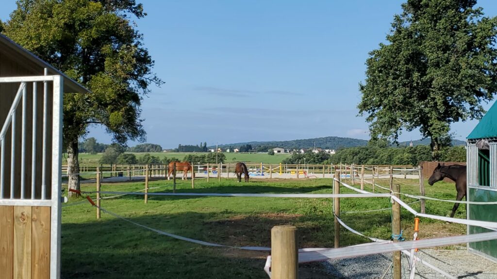 Haras de la FLESCH