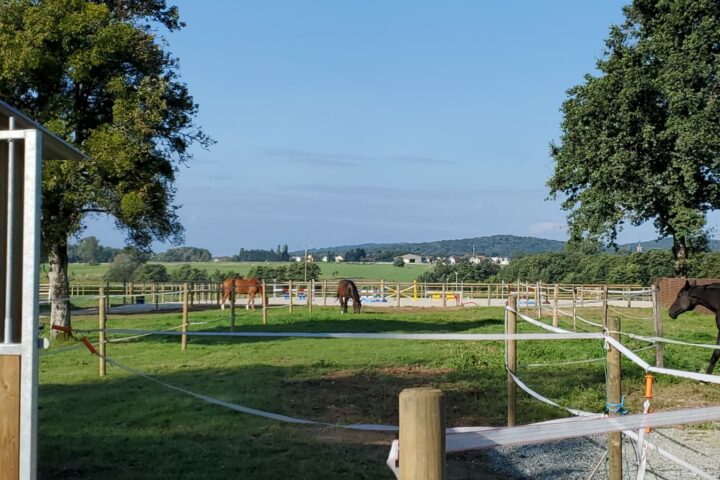 Haras de la FLESCH